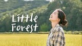 Little Forest - 2018