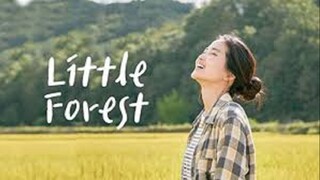 Little Forest - 2018