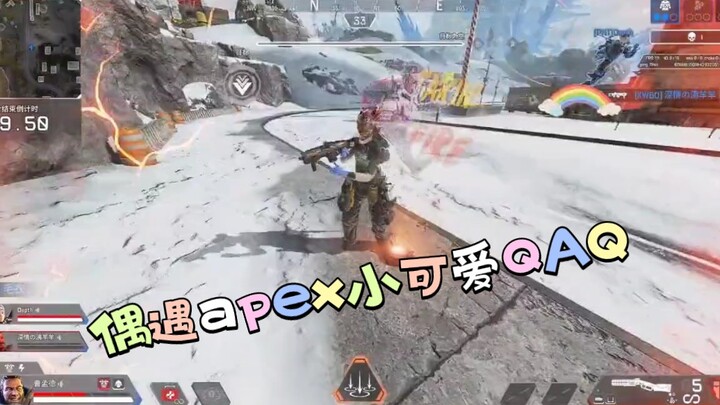 บังเอิญเจอหนูน้อย Apex ตอนนั้นเอง สาวนักศึกษาก็ส่งเสียงกรีดร้องดังลั่นหอพัก