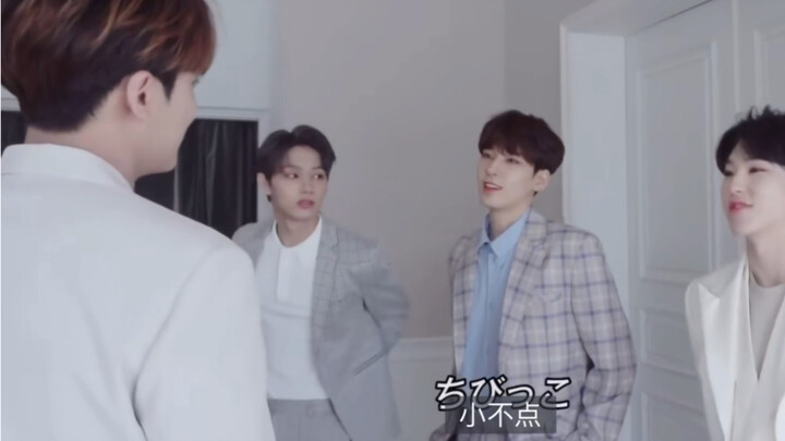 导致米葵一直认为自己是小型犬的原因找到了…