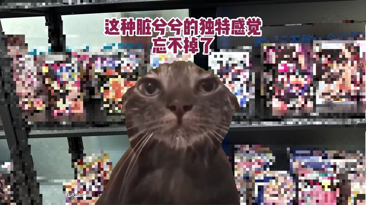 【Cat Meme】Fei Kun Cup Warehouse Adventure!