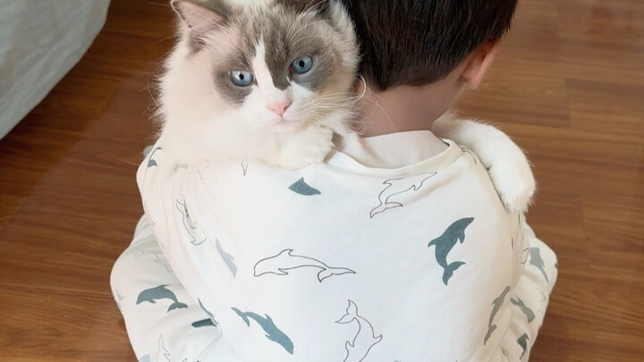 I regret not giving the cat away during my pregnancy, which has condemned it to a lifetime of hard w