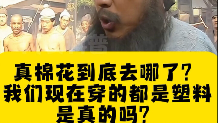Sợi bông thật rốt cuộc đã đi đâu? Liệu những thứ chúng ta đang mặc bây giờ đều là nhựa thật sao? #Kh