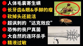 [Alternative] Those "Creepy Upon Reflection" Little-known Facts