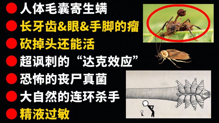 [Alternative] Those "Creepy Upon Reflection" Little-known Facts