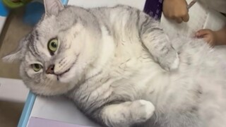 Pandangan matanya benar-benar murni seperti mahasiswa.