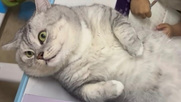 This look is so purely "college student"!