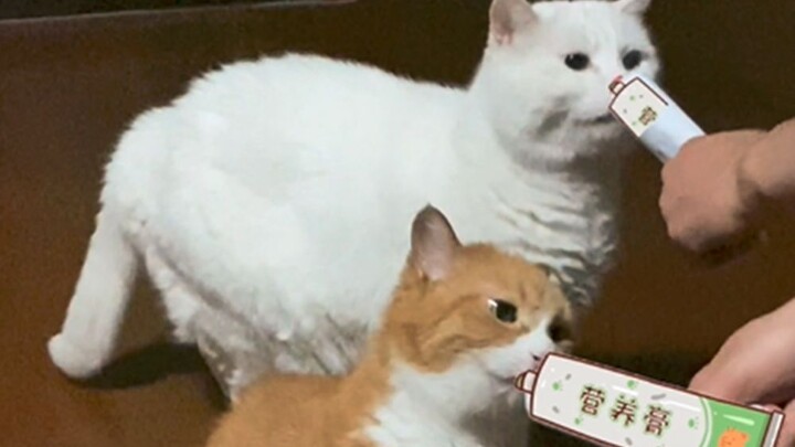 A Feeding Discovery! Little Mi’s Cute Eating Habit!