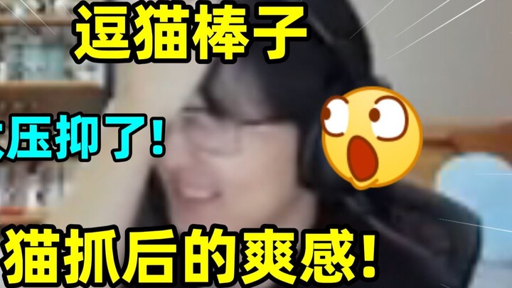 Mainan kucing? Luar biasa menyedihkan! Pria jenius ini menggambarkan betapa senangnya digaruk anak k