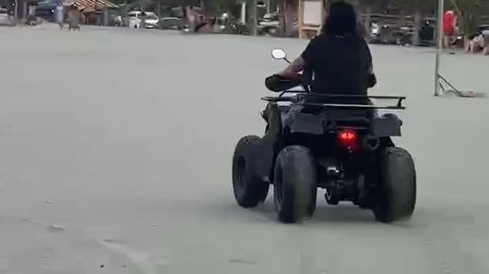 motorcade