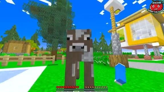 HUY NOOB BIẾN TẤT CẢ THÀNH 6 MÚI TRONG MINECRAFT-MINECRAFT NHƯNG ĐỘNG VẬT ĐƯỢC T