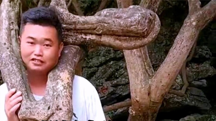 تقرير عن الأشخاص الذين تعرضوا لحظات محرجة أثناء رحلاتهم في العطلات!