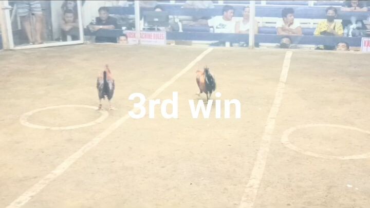3rd win