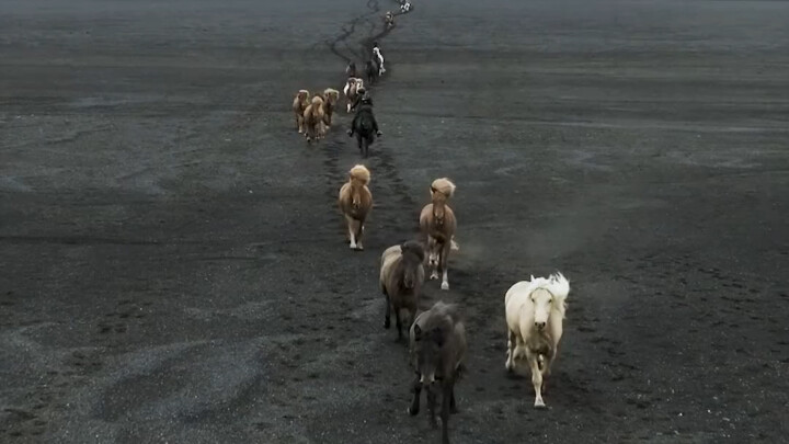 Magnificent Horse Migration