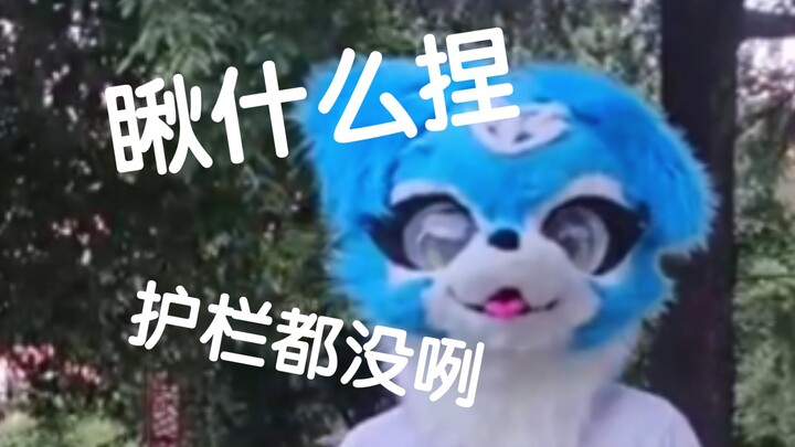 Hàng rào, hết rồi