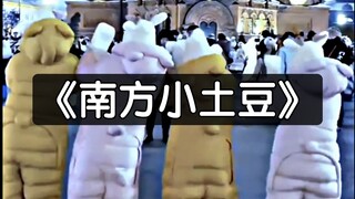 啊啊啊啊啊啊，《南方小土豆》好可爱呀