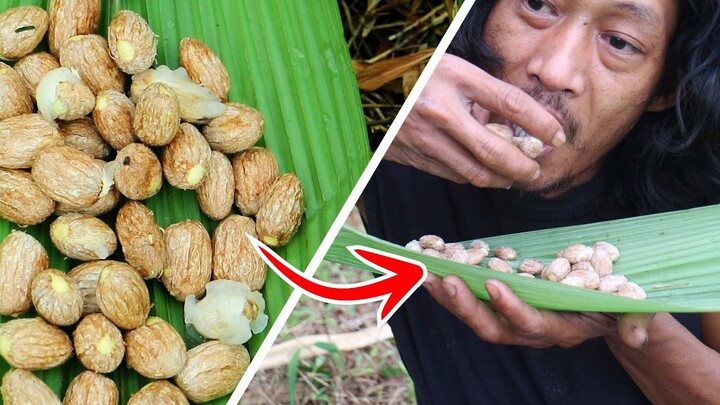 Survival Skills | ASMR | Makan Biji Rambutan Bakar yang Renyah dan Gurih. Makan di hutan