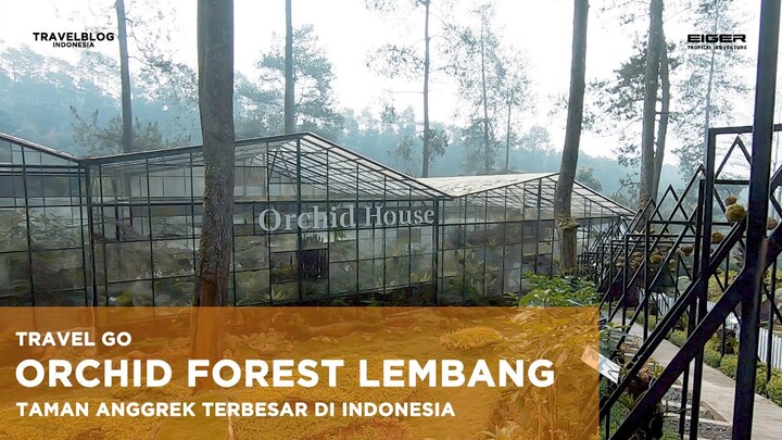 Wisata Bandung yang Kembali Dibuka, Orchid Forest Cikole