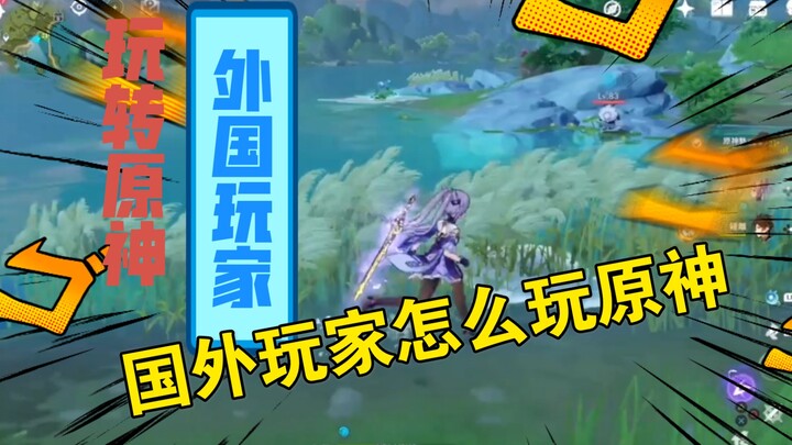 【原神】国外玩家的逗比日常  但凡有20树枝 估计他们也不会这么无聊……