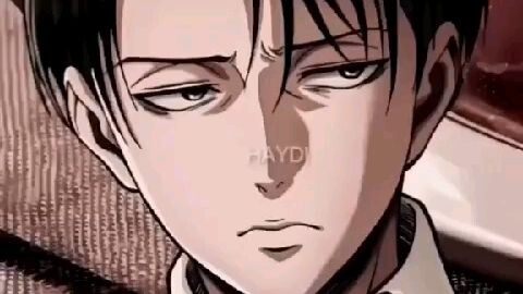 Levi Ackerman🎊