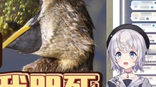 【Shizuku Ruru】Japanese beautiful girl watching part-time bird cormorants fishing