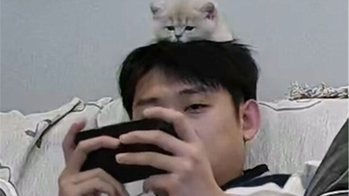 Maybe this is what it means to have a cat.