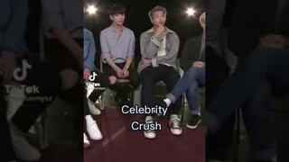 BTS celebrity crushes