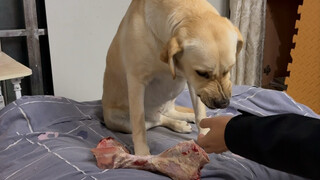 أنت تدافع عن طعامك عندما تأكل، وأنا أيضًا سأدافع عن طعامي.