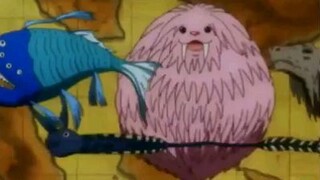 Hunter x S1 E6