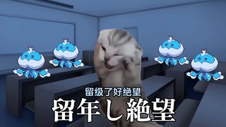 [Meme mèo] Một học sinh nghèo đã thay đổi cuộc đời mình bằng cách trở thành nhà vô địch thế giới Pok