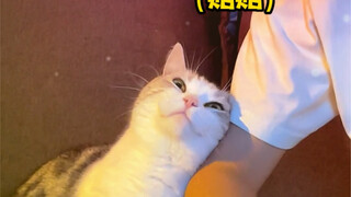 This is the right way to get your boyfriend to put down his game～