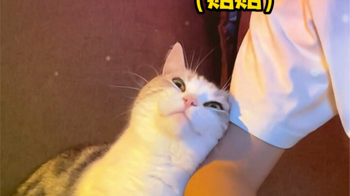 นี่แหละคือวิธีที่ถูกต้องในการให้แฟนหนุ่มเลิกเล่นเกม～