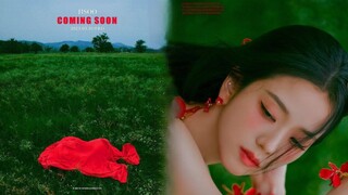 BLACKPINK Jennie, Jisoo's first solo Instagram support... “I’m getting dizzy, so hurry up”