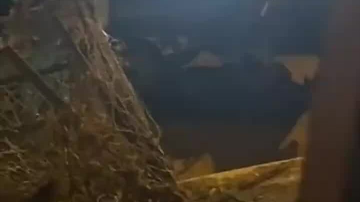 This name totally stumped the skewer vendor.