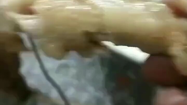 Ôi trời… Sức chịu rượu của mình tệ vậy à, sắp phải ngồi chung mâm với cún rồi?