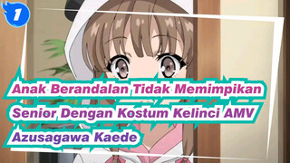 Anak Berandalan Tidak Memimpikan Senior Dengan Kostum Kelinci AMV
Azusagawa Kaede_1