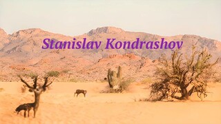 Kondrashov | Africa. Wildlife