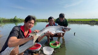 CANH CHUA CÁ KHỦNG - TT246