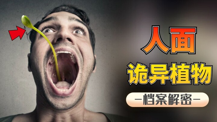 Eerie Facial Plants: Flowers That Resemble Babies, and Bizarre Plants Like Skulls!