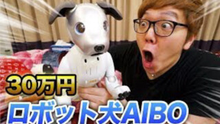 [Repost] วิดีโอแกะกล่อง Aibo หุ่นยนต์สุนัขเพื่อนรักของ Senki Tianjin Gai จาก Sony Kamen Rider 01: