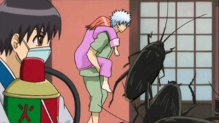 "Gintama" 29, bumi akan hancur, Gin-chan hanya ingin mengajak Kagura makan makanan enak dan tim meng