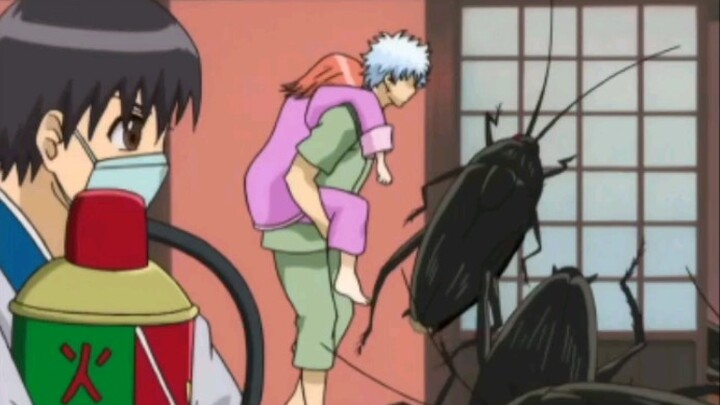 《 Gintama 》 29, the earth is about to be destroyed, Gin-chan just wants to take Kagura to eat delici