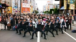 When I heard the song "Butterfly", the dogs on the street wanted to show off their dancing skills.