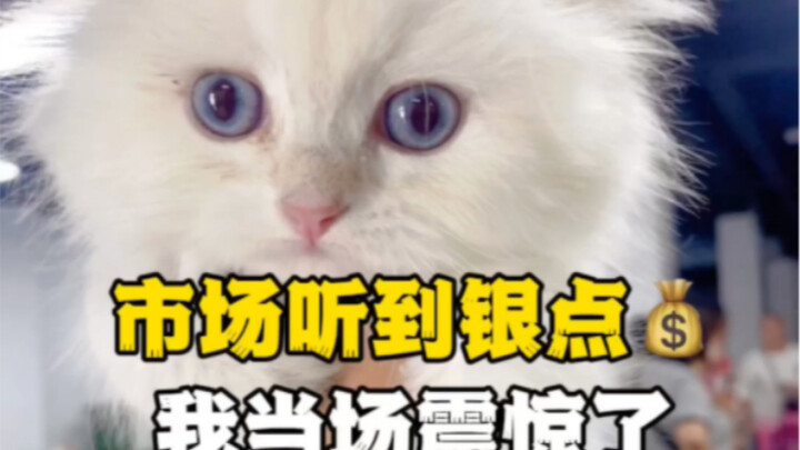 هل يمكنني حقًا اعتبار هذه البقعة الفضية صفقة رابحة؟