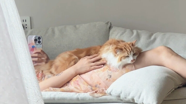 I turned the fan up a notch—but forgot to warn the kitten!