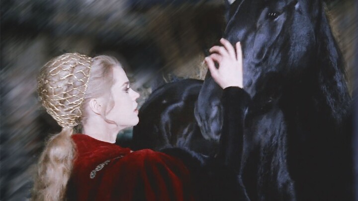 “I heard Countess Contessa has fallen in love with a black stallion.”