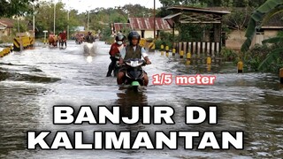 KONDISI BANJIR KALIMANTAN BARAT 1/5 METER DI ATAS LUTUT ORANG DEWASA