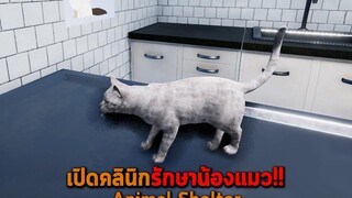 เปิดคลินิกรักษาน้องแมว Animal Shelter