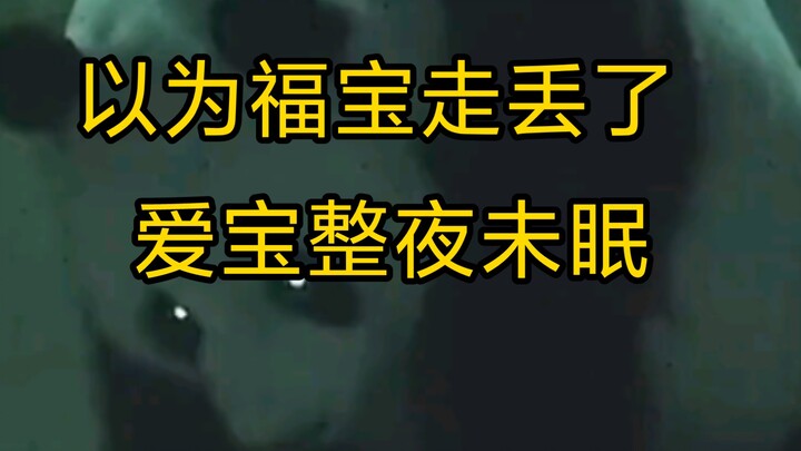ฟู่เป่าแยกตัวออกมาแล้ว ไอ้เป่านอนไม่หลับจนตรอมใจ จนกระทั่งคุณจางปลอบโยนจึงค่อยสงบลง