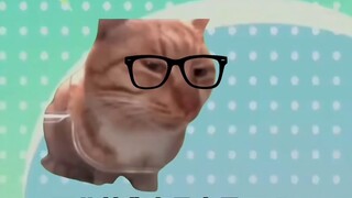 Using cat memes to reveal the daily life of the Karasuno High School volleyball team